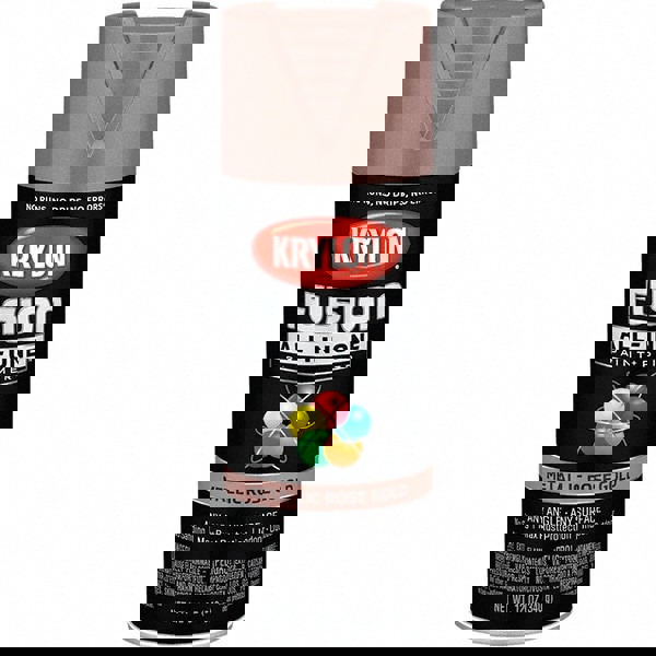 Acrylic Enamel Spray Paint: Rose Gold, M